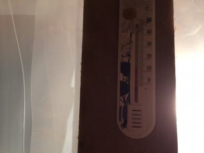 Штукатурка сводов южная сторона 28.01.2018