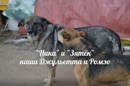 ...за строителей, благоукрасителей и жертвователей святаго Храма сего...