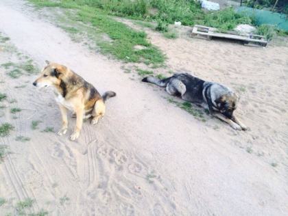 Жизнь