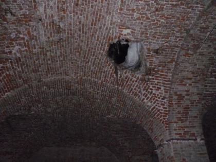 Храм вид изнутри зима 2011